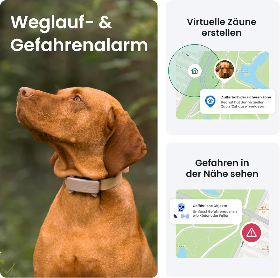 Tractive GPS Tracker Hund | 2025 Edition | Live-Ortung | Weglaufalarm | Aktivitätstracking | Gesundh