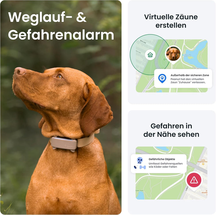 Tractive GPS Tracker Hund | 2025 Edition | Live-Ortung | Weglaufalarm | Aktivitätstracking | Gesundh