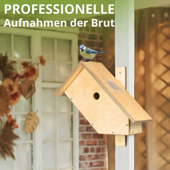 Nistkasten mit WLAN-Kamera. Autark & wetterfest, mit idealem Lichteinlass für störungsfreie Brut, mi