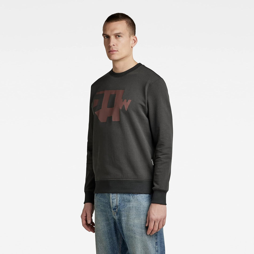 G-STAR RAW Herren Multi Colored Raw. R Sw Sweater L Grau (Cloack D22230-a613-5812), L Grau (Cloack D