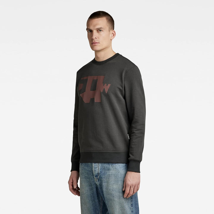 G-STAR RAW Herren Multi Colored Raw. R Sw Sweater L Grau (Cloack D22230-a613-5812), L Grau (Cloack D