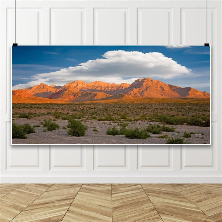 Renaiss 4.5x2.5m Desolate Wüste und Bergkulisse Naturkulisse Fotografie Hintergrund Hochzeit Outdoor