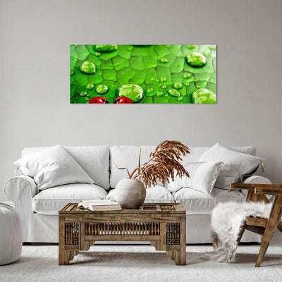 Panorama Bilder auf Leinwand 100x40cm Leinwandbild Marienkäfer Gras Blatt Tropfen Gross Wanddeko Bil