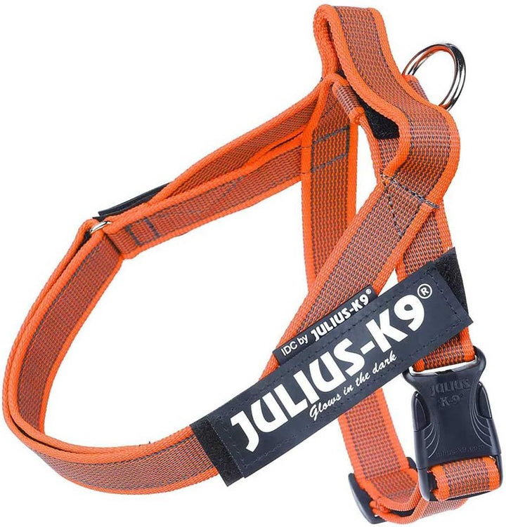 Julius-K9, Color & Gray, Beltgeschirr XL / 2 orange-grau, XL / 2 orange-grau