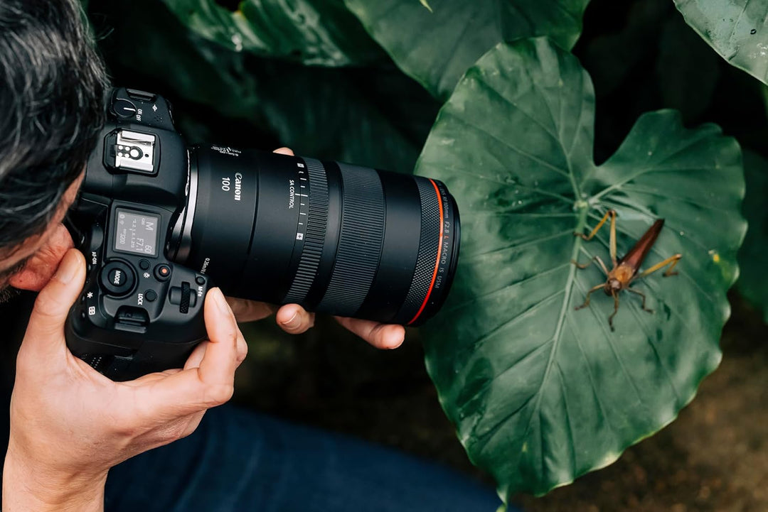 Canon Objektiv RF 100mm F2.8 L Macro is USM Makroobjektiv für EOS R5 / R6 (1,4 x Vergrösserung, 5 St