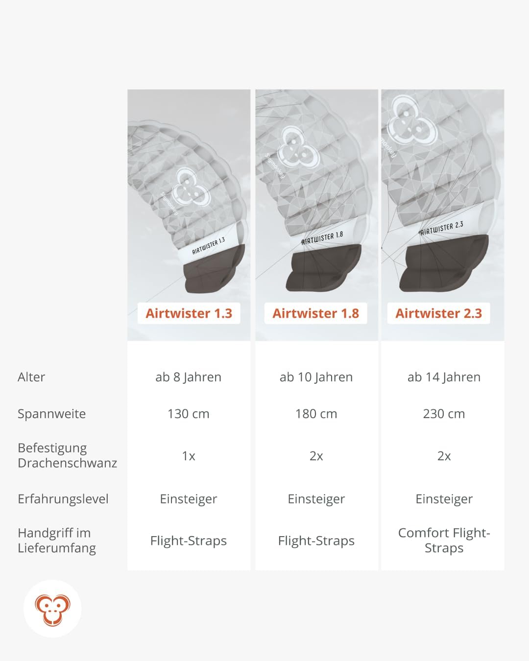 Skymonkey Airtwister Lenkmatte inkl. Packsack & Flugschlaufen - Lenkdrachen bereits fertig angeleint