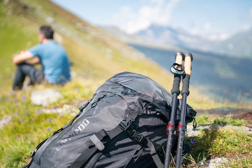 Steinwood Premium Carbon Wanderstöcke - Trekkingstöcke - extra leicht, verstellbar mit Teleskop und