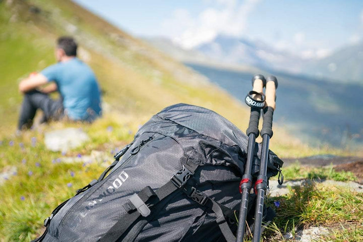 Steinwood Premium Carbon Wanderstöcke - Trekkingstöcke - extra leicht, verstellbar mit Teleskop und
