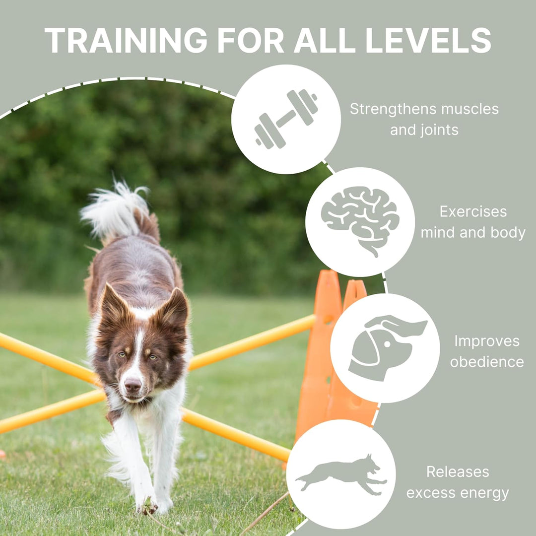 Trixie 32091 Dog Activity Hindernisse, 3 St., ø 23 × 30 cm/78 cm, orange/gelb, 3 St., ø 23 × 30 cm/7