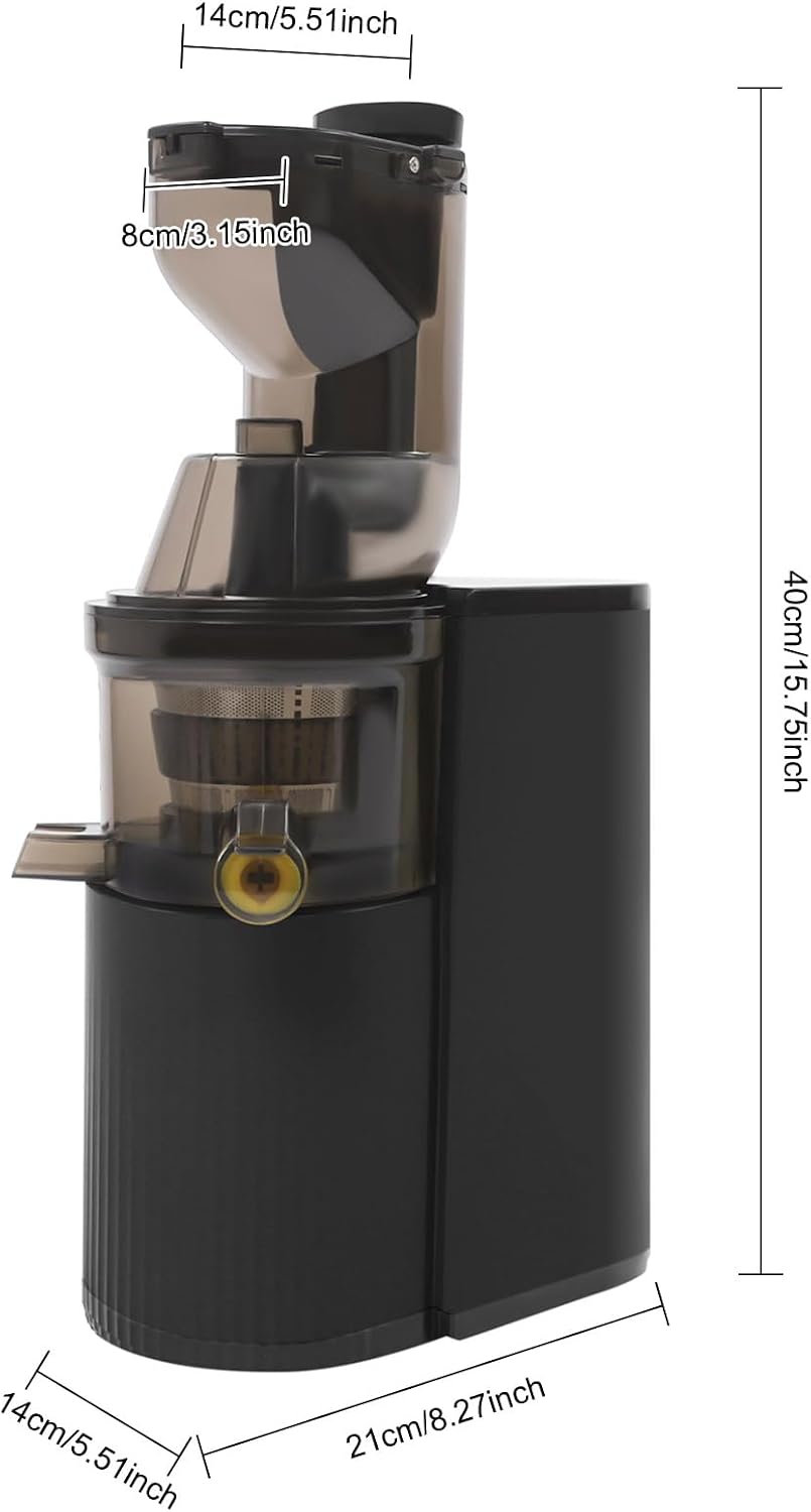 Langsamer Entsafter Slow Juicer 48 Umin Gemuese Obst