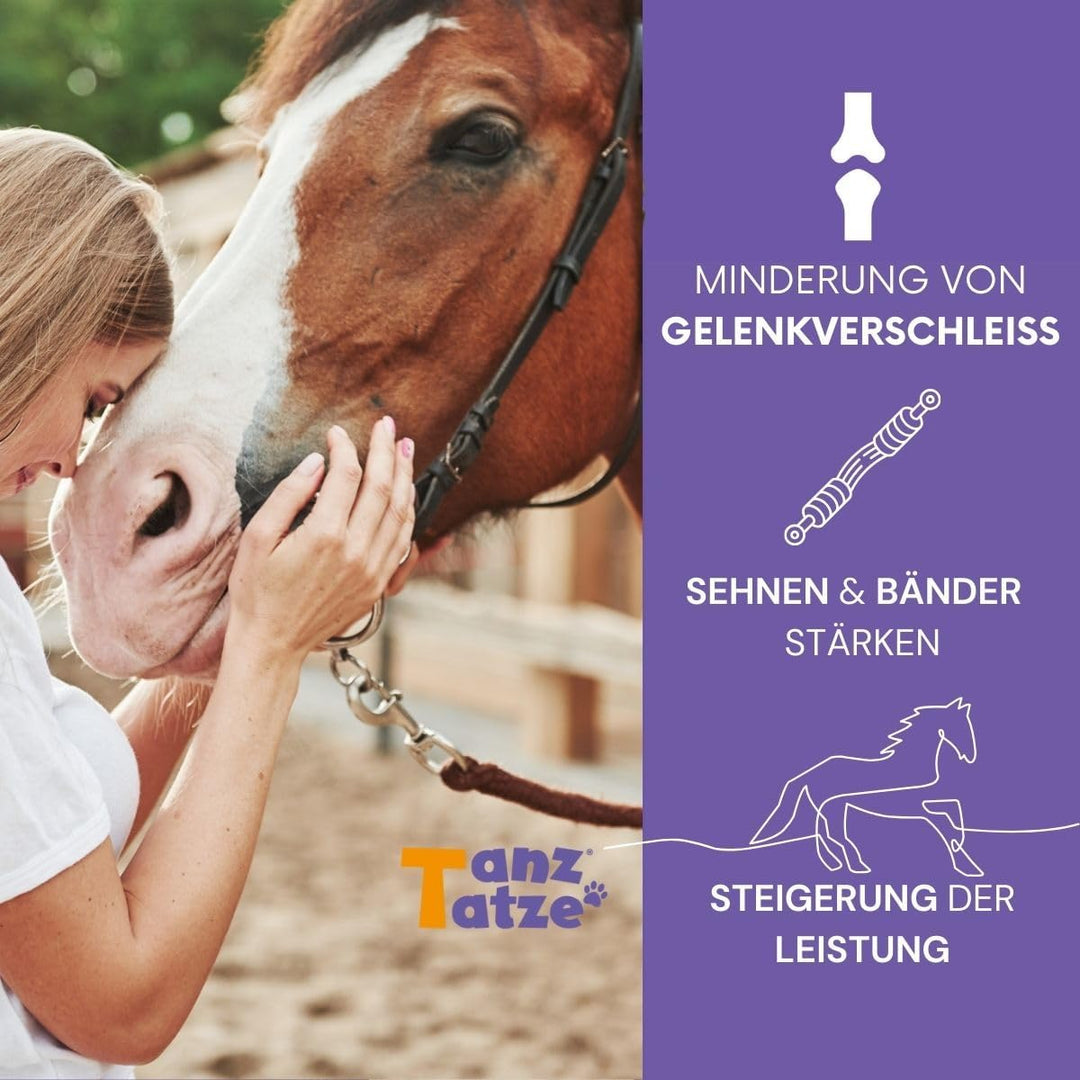 TanzTatze® bioaktive Kollagenpeptide für Hund und Katze – Gelenkpulver auch als Vorsorge – gut vertr
