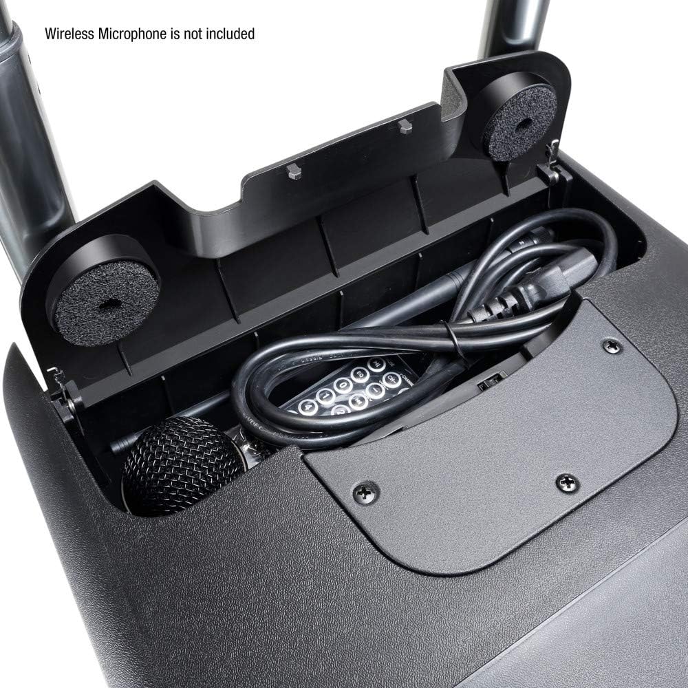 LD Systems ROADBUDDY 10 BASIC - Akkubetriebener Bluetooth-Lautsprecher mit Mixer, schwarz