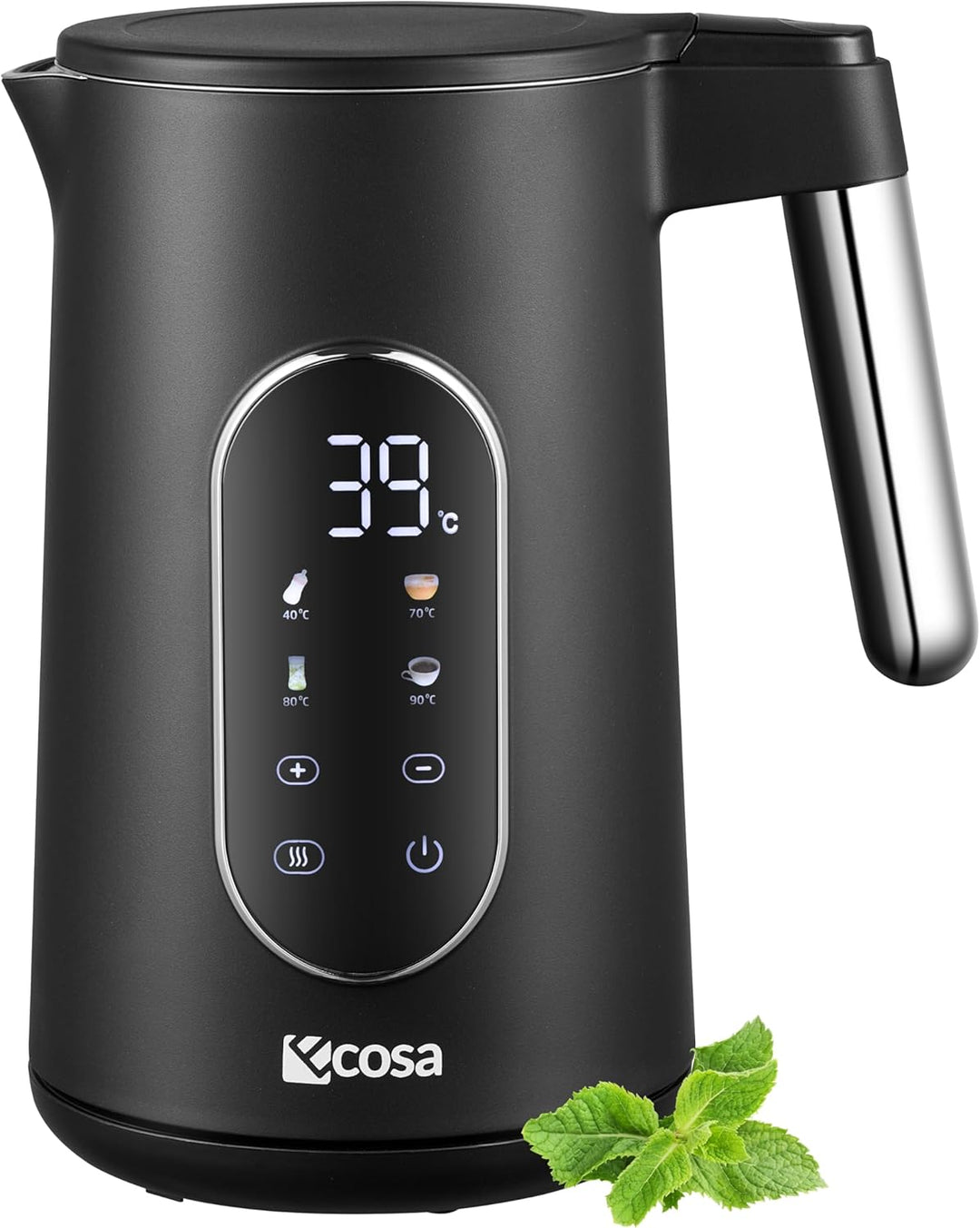 Wasserkocher Edelstahl mit Temperatureinstellung (40°C-100°C) 1,7 Liter 2200 Watt Teekocher 100% BPA