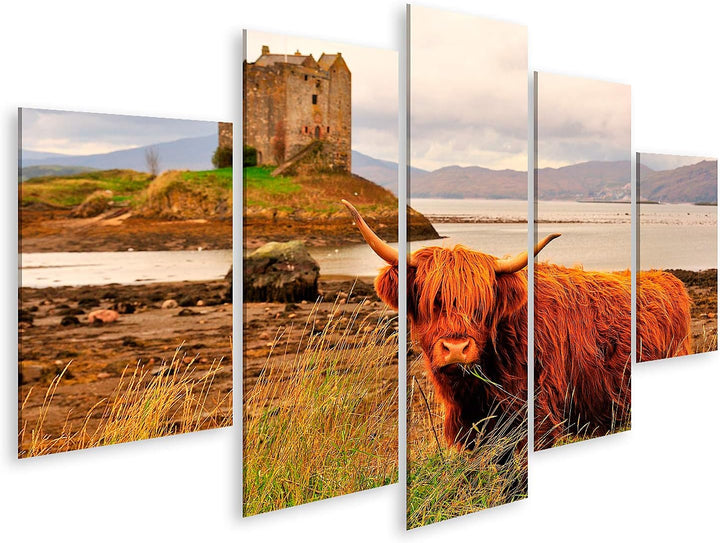 islandburner Bild auf Leinwand Hochlandkuh Loch Linnhe Schottland Bilder Wandbilder Poster Leinwand