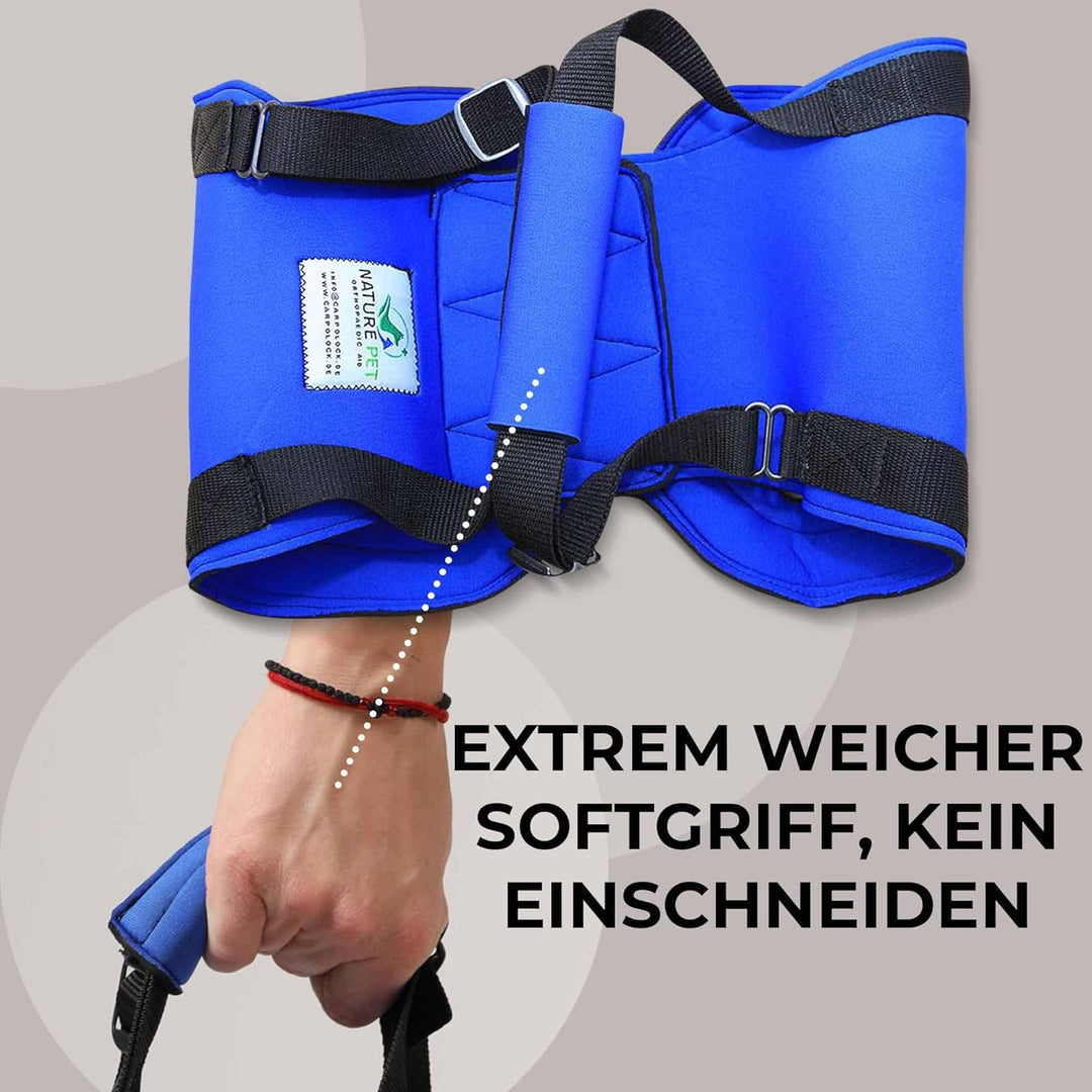 Tragehilfe Hund hinten - Ideal für ältere, kranke oder operierte Hunde - Diese Treppenhilfe für Hund