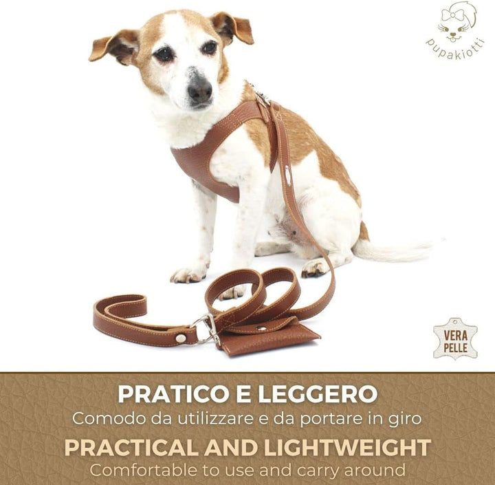 PUPAKIOTTI Basic Hundeleine | Kleine und mittlere Hundeleine | Echtes Leder in Italien | Hundeleine