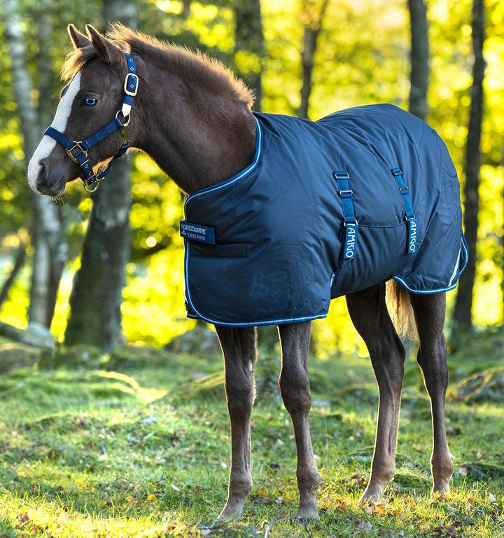 Horseware Outdoor-Decke für Pferde Amigo Foal Rug Marineblau/Blau 106 - 122 (85), Marineblau/Blau 10