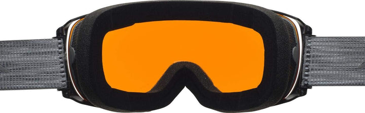 ALPINA Unisex Skibrille Skibrille (1er Pack) Einheitsgrösse Grau, Einheitsgrösse Grau