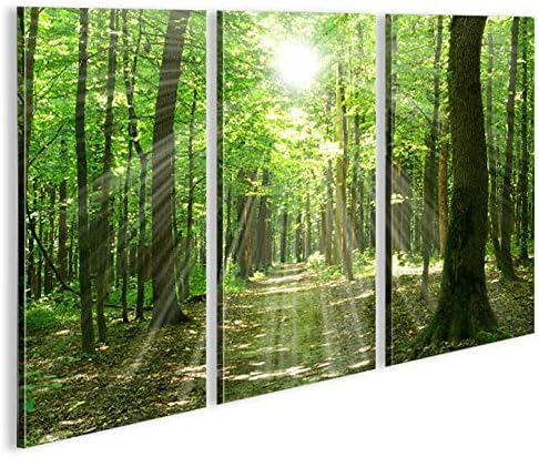islandburner Bild Bilder auf Leinwand Sonnenstrahlen im Wald Bäume Spaziergang 3p XXL Poster Leinwan