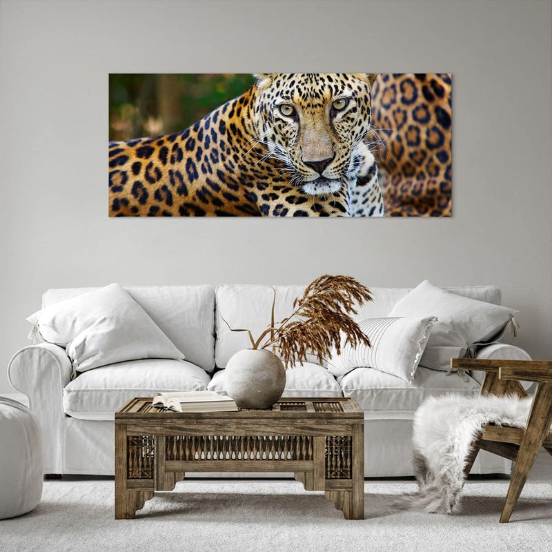 ARTTOR Wandbilder Dekoration Wohnzimmer Leopardpanther Katze Tier Savanne Bilder auf Leinwand 120x50