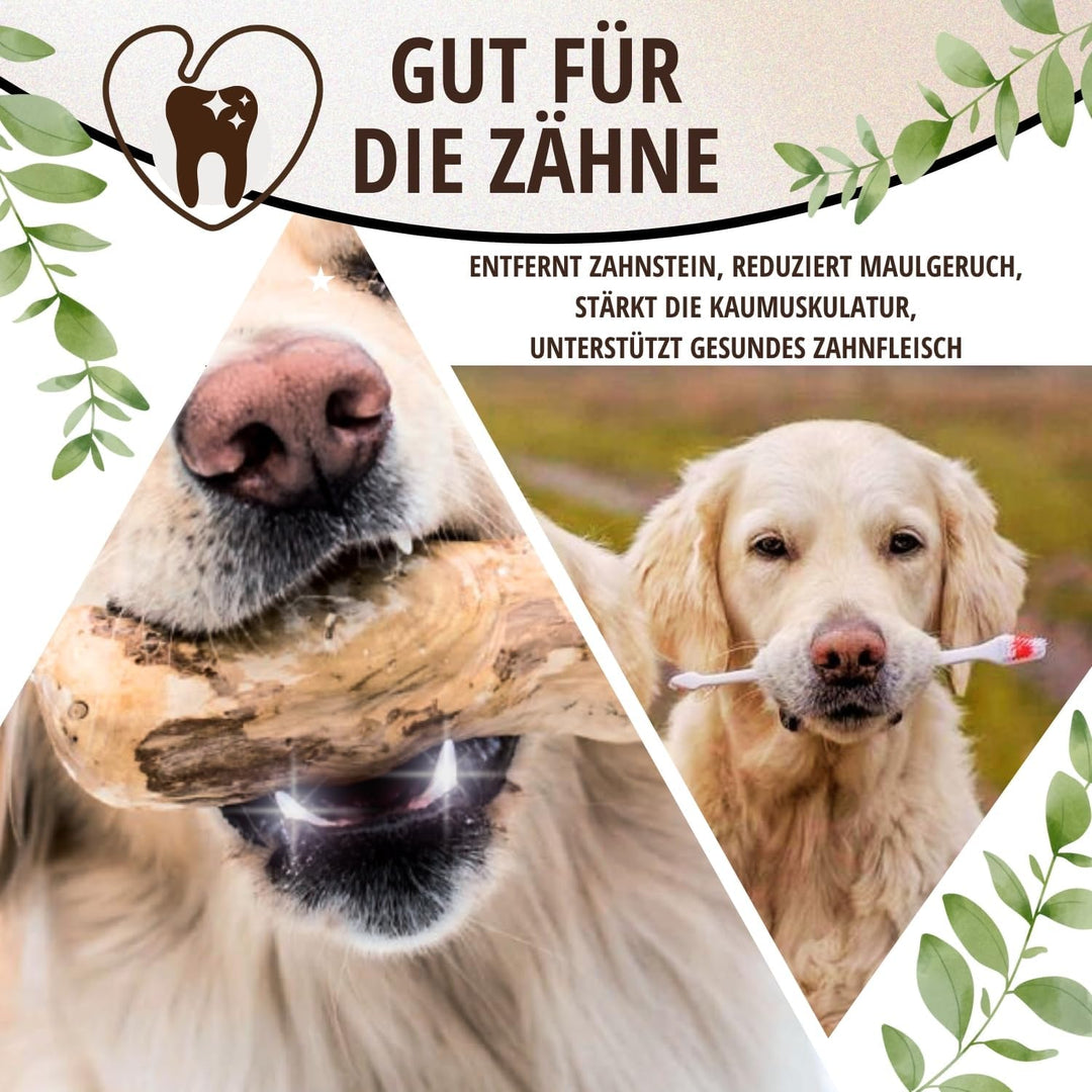 Kaffeeholz für Hunde • Kauholz Hund als Hundespielzeug & Zahnpflege • Holzknochen für Hund • Ohne Ko