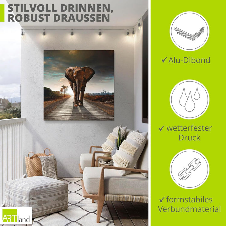 Artland Wandbild Alu für Innen & Outdoor Metall Bild 40x40 cm Tiere Wildtiere Elefant Fotografie Bra