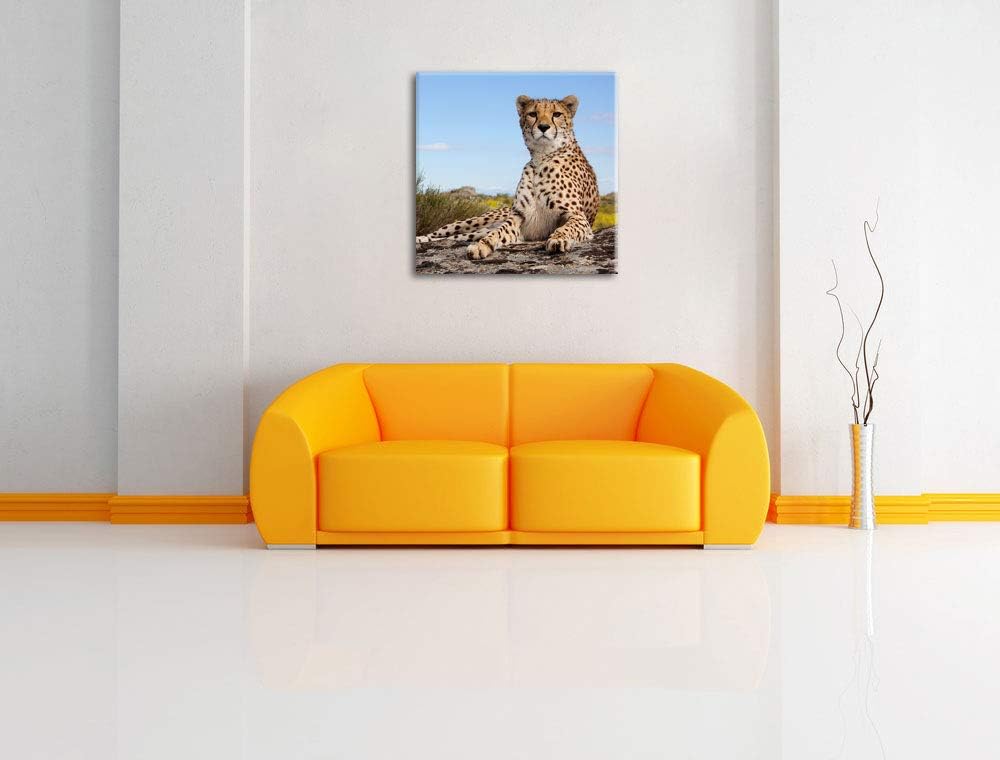 Gepard in Savanne, Format: 70x70 auf Leinwand, XXL riesige Bilder fertig gerahmt mit Keilrahmen, Kun