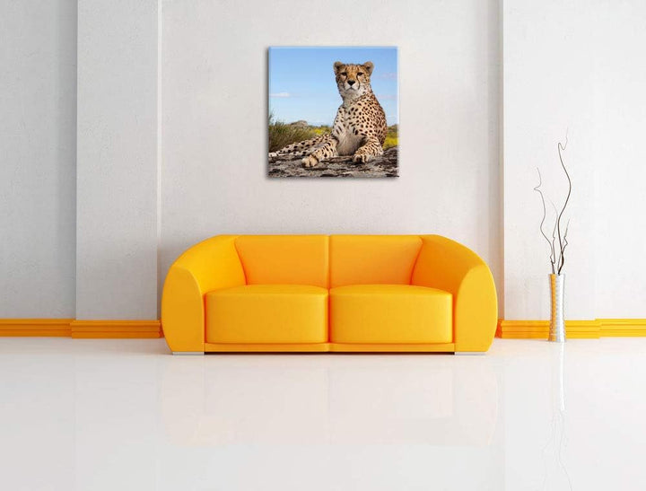 Gepard in Savanne, Format: 70x70 auf Leinwand, XXL riesige Bilder fertig gerahmt mit Keilrahmen, Kun