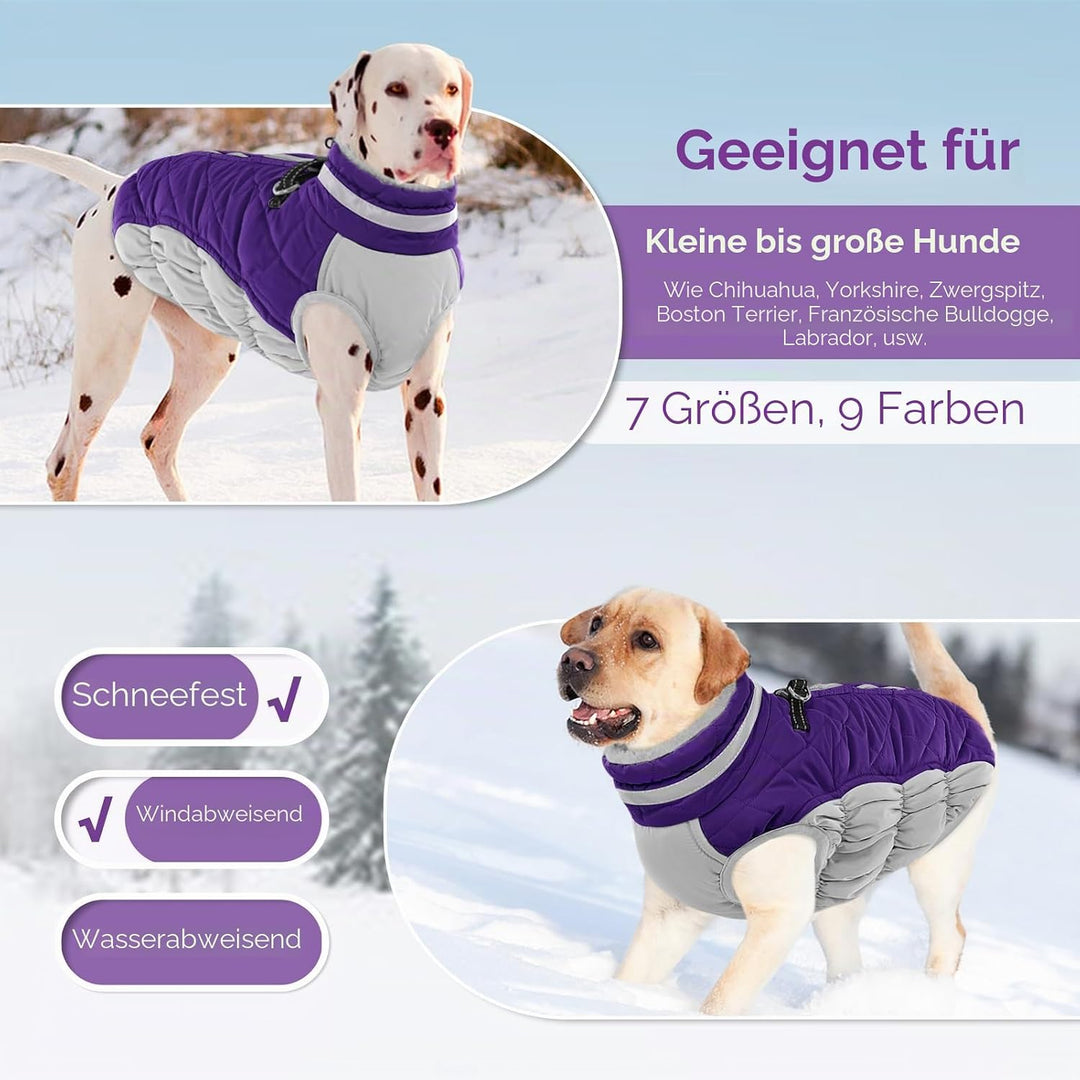 AOFITEE Hundejacke Kleine Hunde, Wasserdicht Hunde Wintermantel Warm Hundemantel mit Geschirr, Rollk