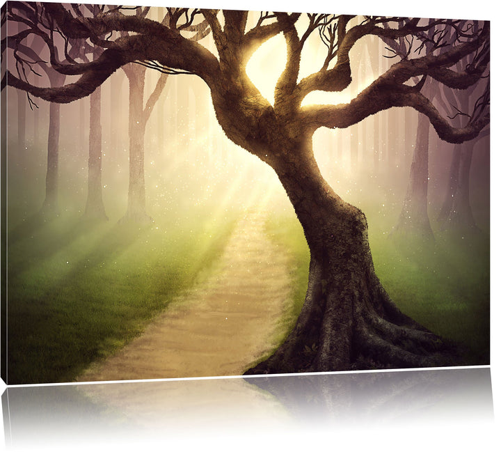 Riesiger Baum am Waldweg, Format: 100x70 auf Leinwand, XXL riesige Bilder fertig gerahmt mit Keilrah