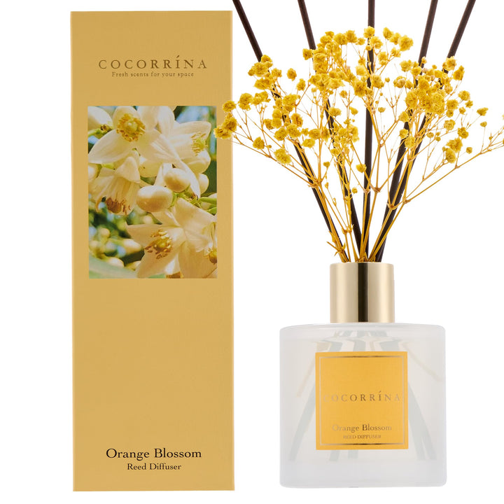 COCORRÍNA Raumduft Orange Blossom, 200ml Reed Diffuser mit 8 Duftstäbchen, Lufterfrischer für Badezi