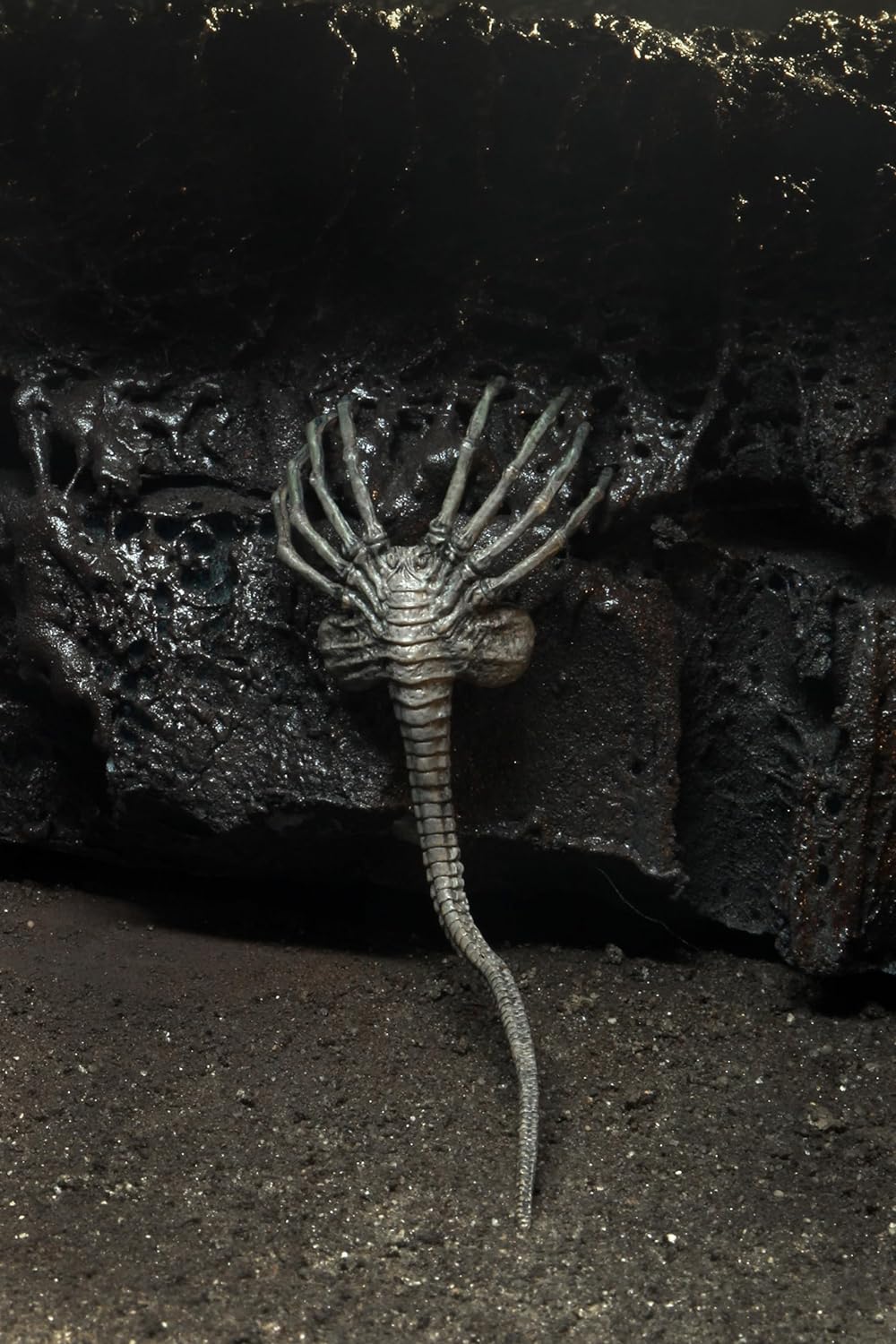 Alien NECA Xenomorph 40th Anniversary, H857800