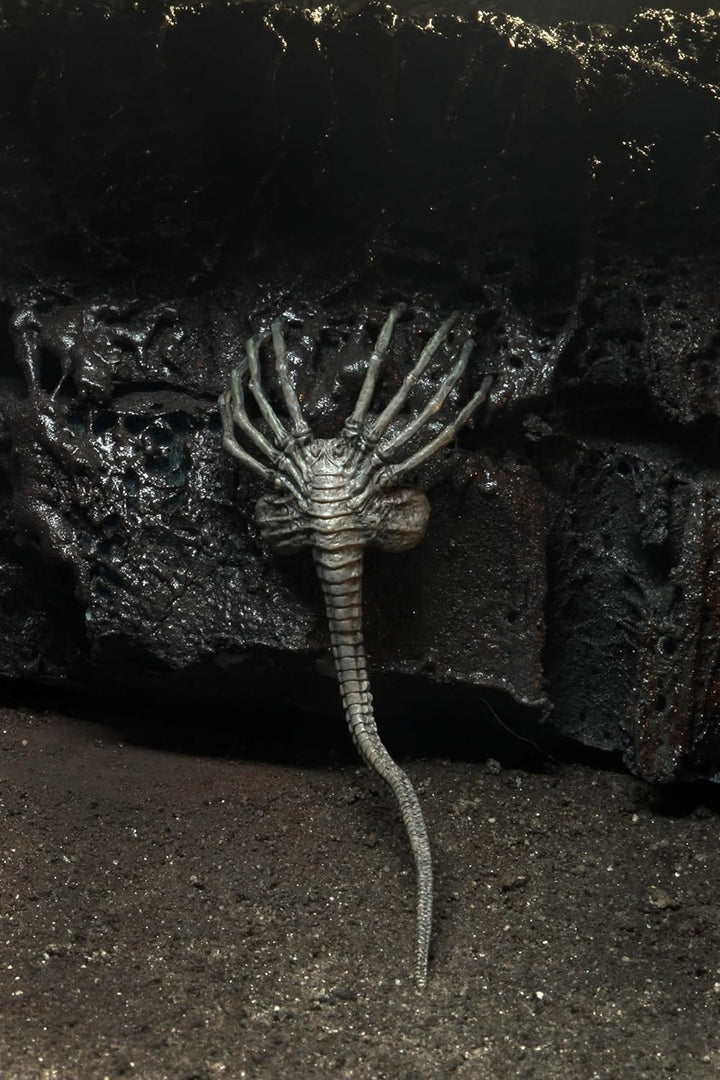 Alien NECA Xenomorph 40th Anniversary, H857800