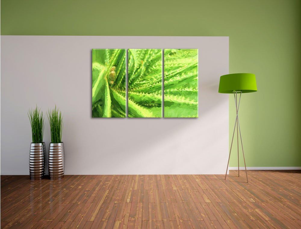 Pixxprint Aloe Vera Pflanze als Leinwandbild/Grösse: 3 Teilig (120x80 cm) cm/Wandbild/Kunstdruck/fer