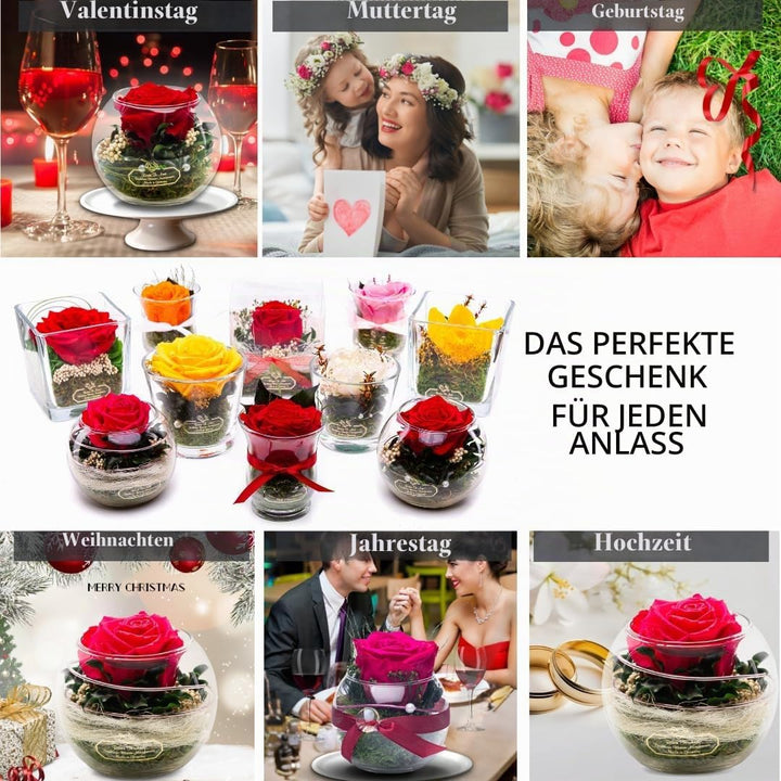Rosen-Te-Amo | Premium konservierte ewige rote Rose | duftend | handgefertigt mit echten Deko-Foliag