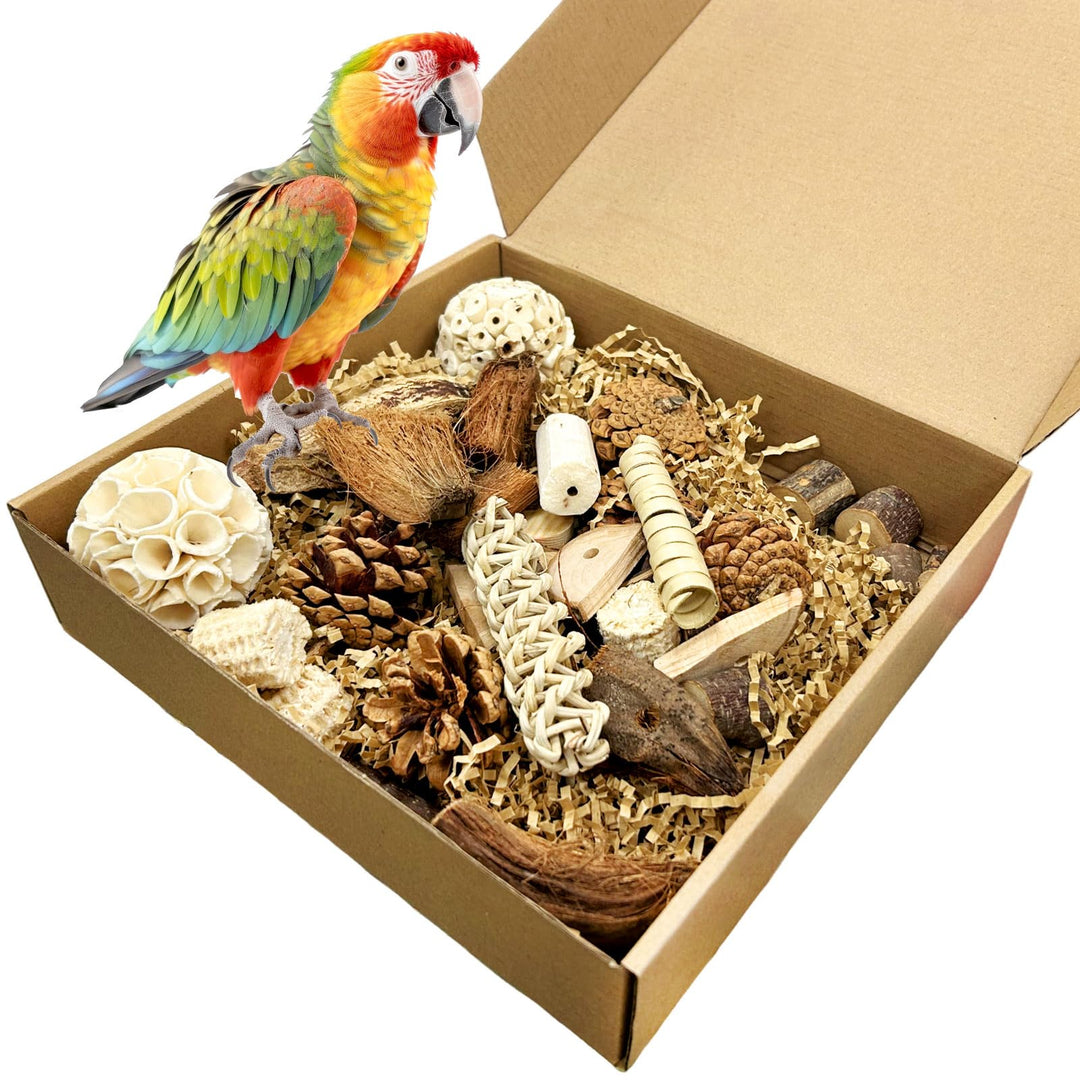 Felicify Vogelspielzeug, Papageienspielzeug, Papagei Kauspielzeug, Kaubare Vogel Spielzeug, Vogelkäf
