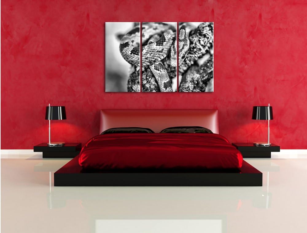 Pixxprint ruhende Kornnatter als Leinwandbild/Grösse: 3 Teilig (120x80) cm/Wandbild/Kunstdruck/ferti