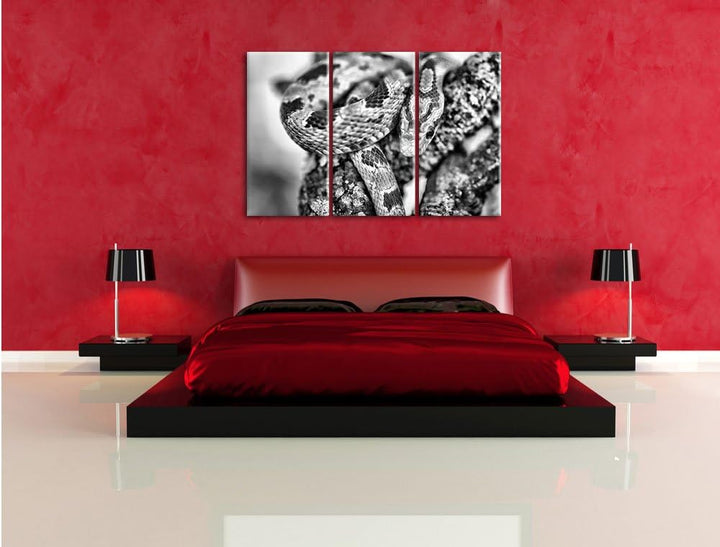Pixxprint ruhende Kornnatter als Leinwandbild/Grösse: 3 Teilig (120x80) cm/Wandbild/Kunstdruck/ferti