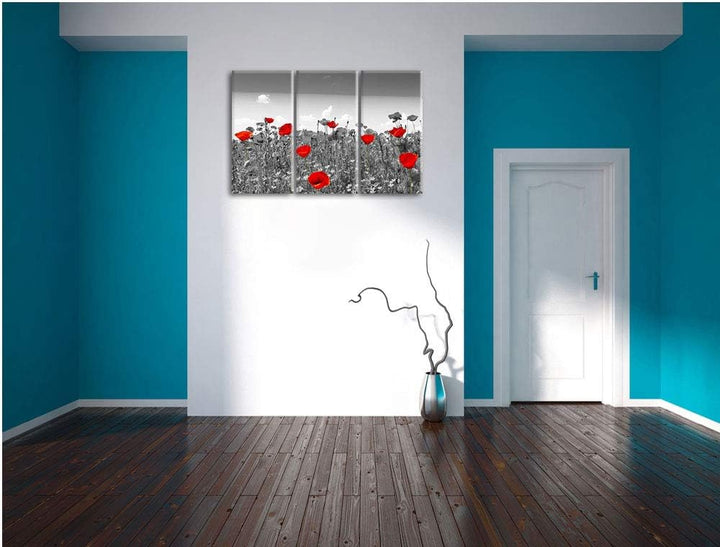 schöner rot leuchtender Mohn schwarz/weiss 3-Teiler Leinwandbild 120x80 Bild auf Leinwand, XXL riesi