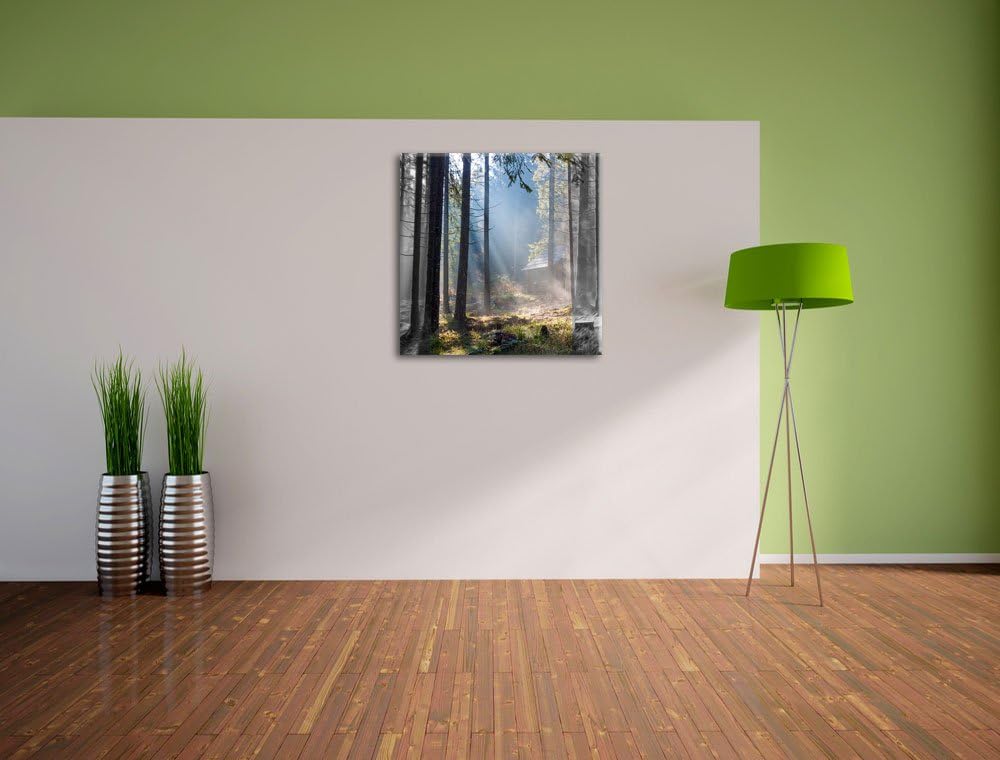 Pixxprint Häuschen im Wald mit Sonnenstrahlen schwarz/weiss, Format: 70x70 als Leinwandbild, 70x70
