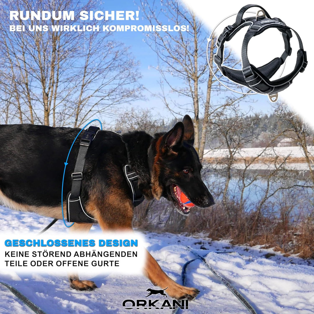 Bravo Hundegeschirr 2025 - Premium No-Pull, Anti-Zug Geschirr, atmungsaktiv, weich gepolstert mit Si