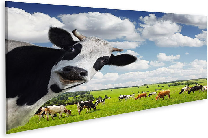 islandburner Bild auf Leinwand Lustige Kuh Auf Ländlicher Wiese Bilder Wandbilder Poster Leinwand 12