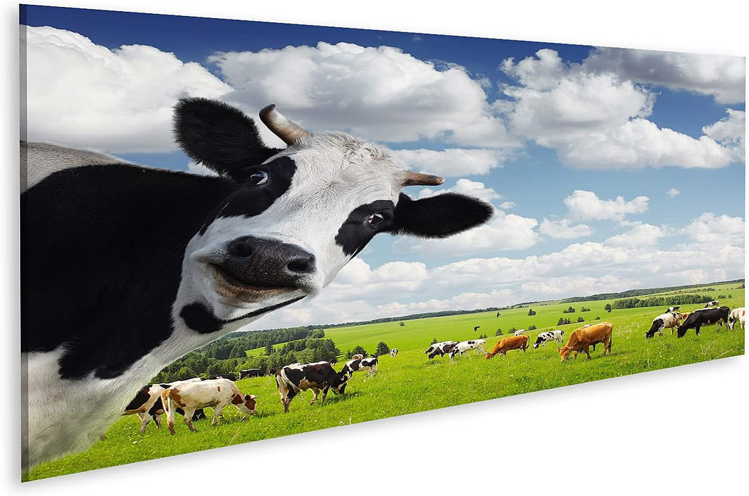 islandburner Bild auf Leinwand Lustige Kuh Auf Ländlicher Wiese Bilder Wandbilder Poster Leinwand 12