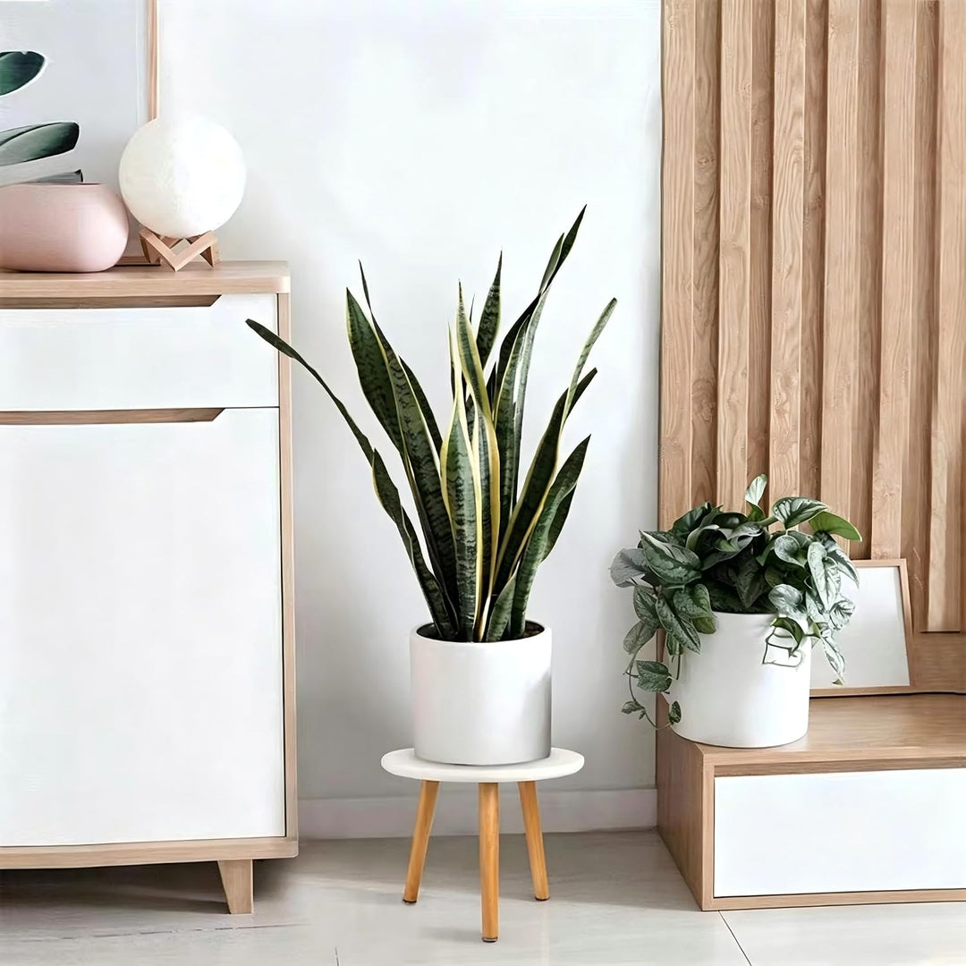 Pflanzenständer Blumenständer, Pflanzenregal Blumenhocker Holz, Pflanzenhocker Weiss, Geeignet für V