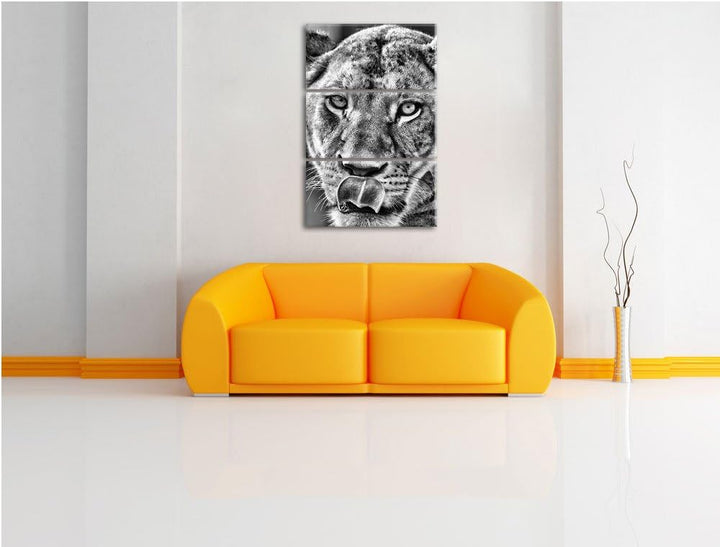 Pixxprint Monocrome, anmutige Löwin 3-Teiler Leinwandbild 120x80 Bild auf Leinwand