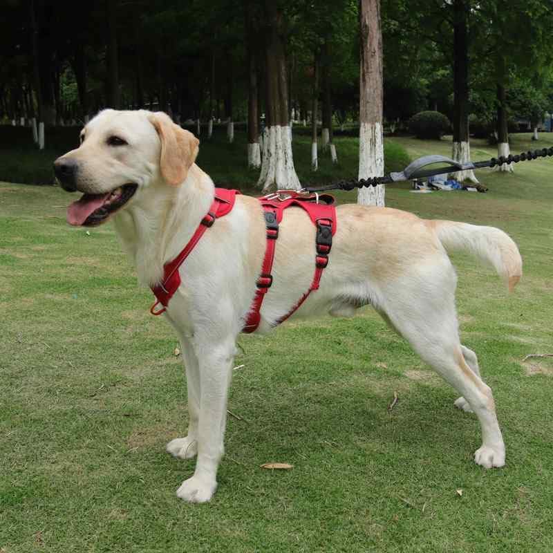 ELBA Sicherheitsgeschirr Hund ausbruchsicher – Verstellbares No-Pull Hundegeschirr gepolstert & refl