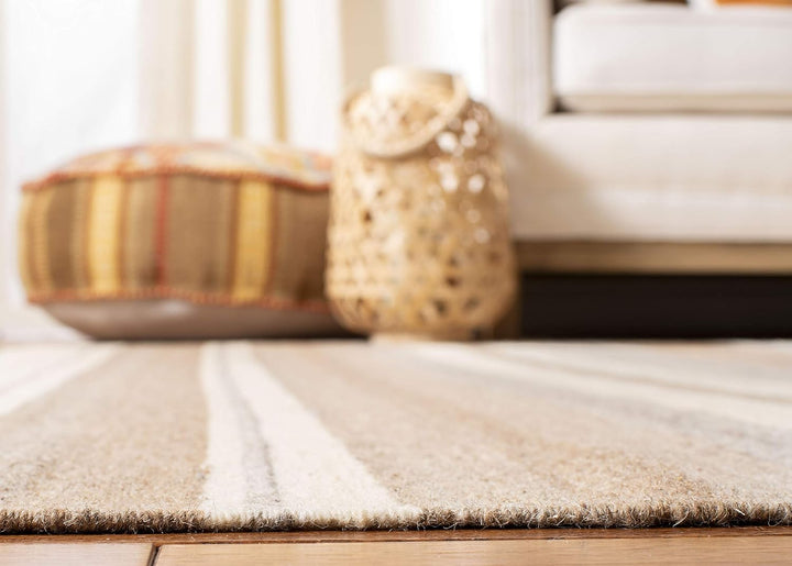 SAFAVIEH Zeitgenössische Teppich für Wohnzimmer, Esszimmer, Schlafzimmer - Dhurrie Collection, Kurze