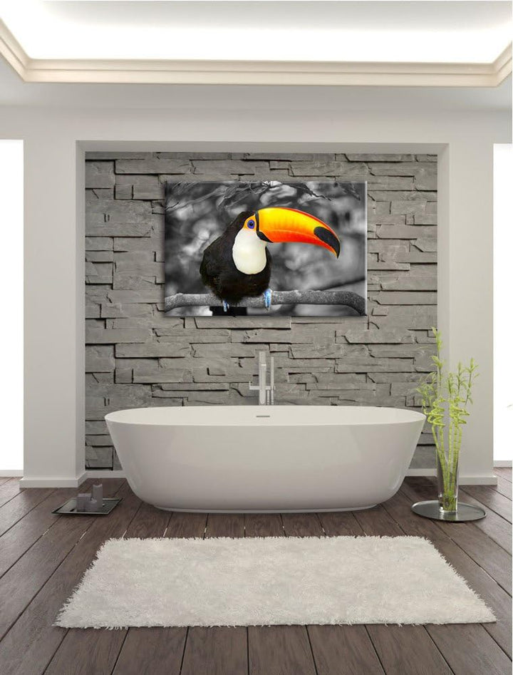 prachtvoller exotischer Tukan schwarz/weiss Format: 100x70 auf Leinwand, XXL riesige Bilder fertig g