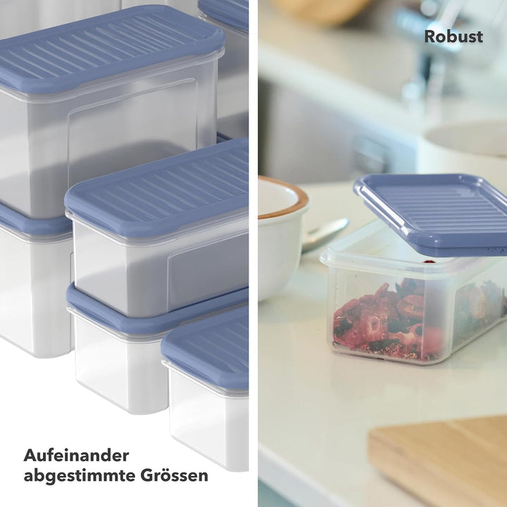 Rotho, DOMINO 18er-Set Vorratsdosen, mit dicht schliessendem Deckel, spülmaschinengeeignet, transpar