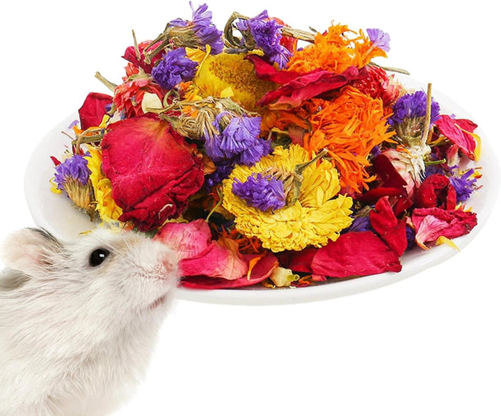 Generisch Hamsterkäfig-Einstreu, Einstreu für Hamster - Natürliche Trockenblumen-Gerbil-Bettwäsche |
